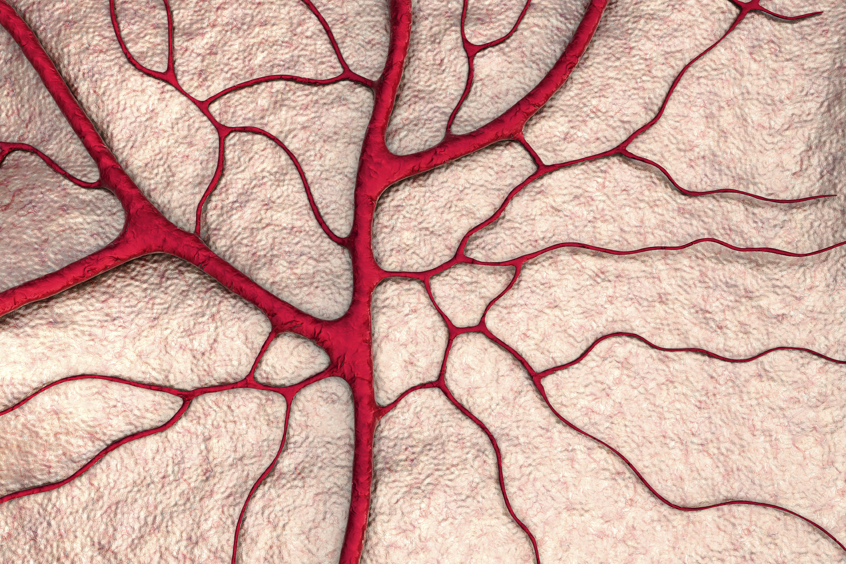 Les nouveaux anticoagulants s’avèrent une option efficace et sans danger pour la plupart des gens 