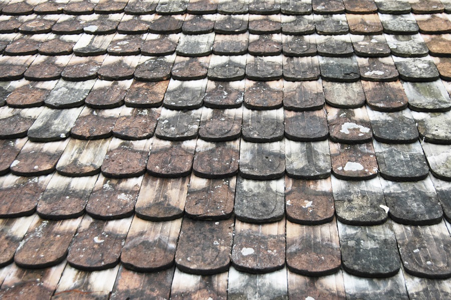 slate shingle tiles on a roof