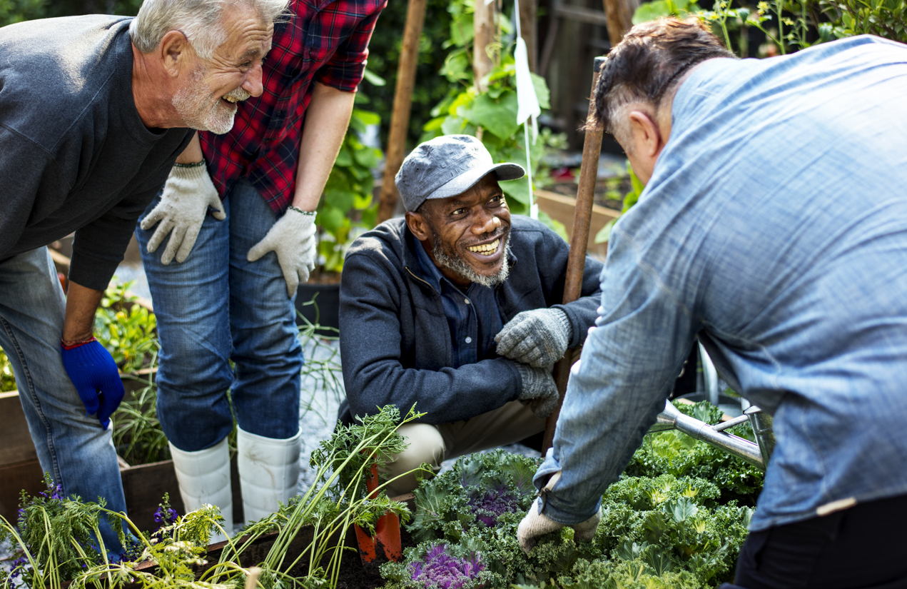 L’hortithérapie : le jardinage guidé présente-t-il des avantages ?