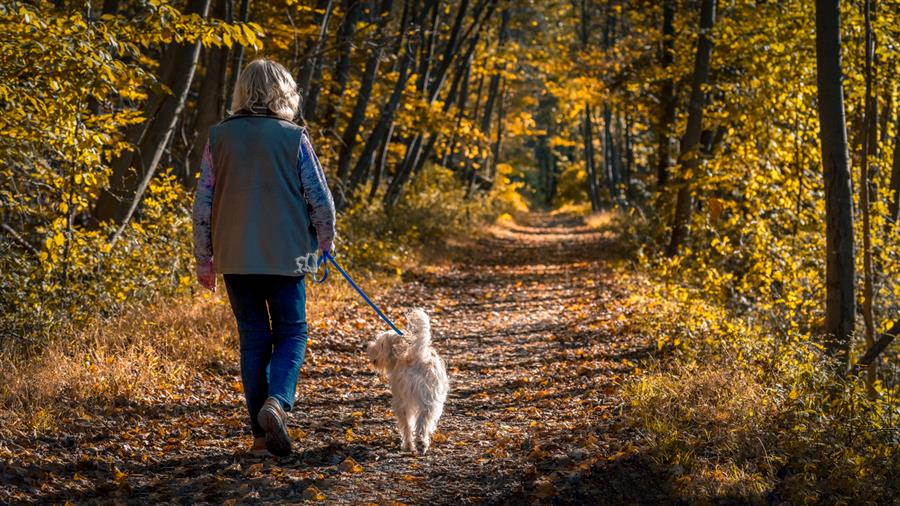 Rester actif au fil des saisons