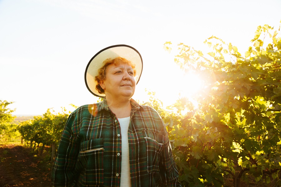 L'importance de la vitamine D pour les personnes âgées : une clé pour vieillir en bonne santé